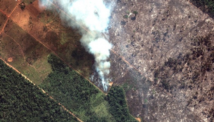 Amazon yağmur ormanları yanıyor